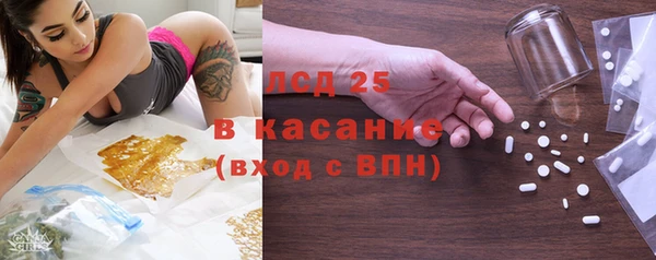 ПСИЛОЦИБИНОВЫЕ ГРИБЫ Арсеньев