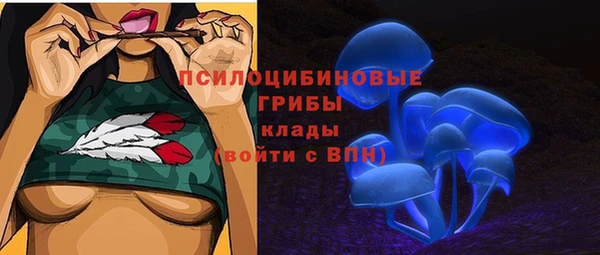 амф Алексин