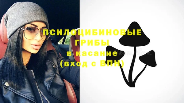винт Алексеевка