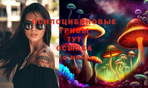 винт Алексеевка