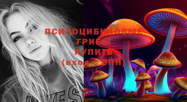jwh Алзамай