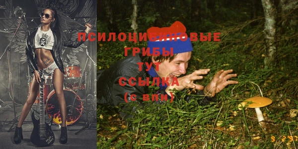 амф Алексин